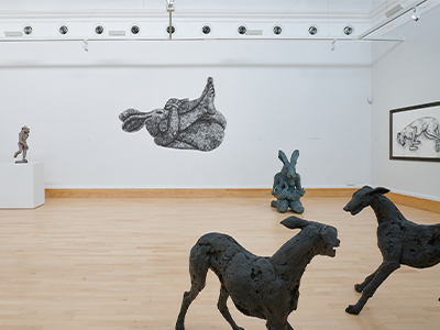 White gallery space with a wire drawing of a half rabbit half lady curled up 
