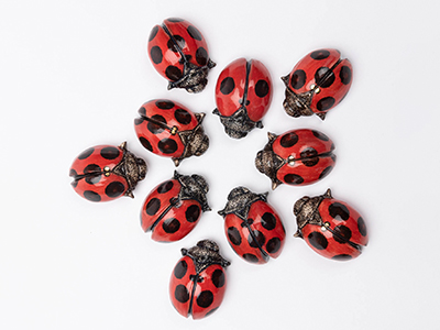 Ceramic ladybirds