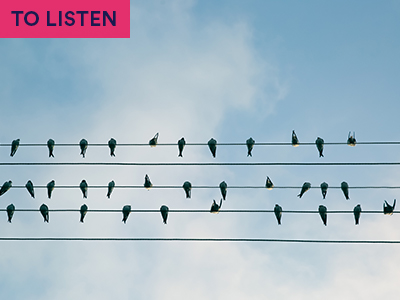 birds on electric wire against blue sky. Keyword in the corner TO LISTEN