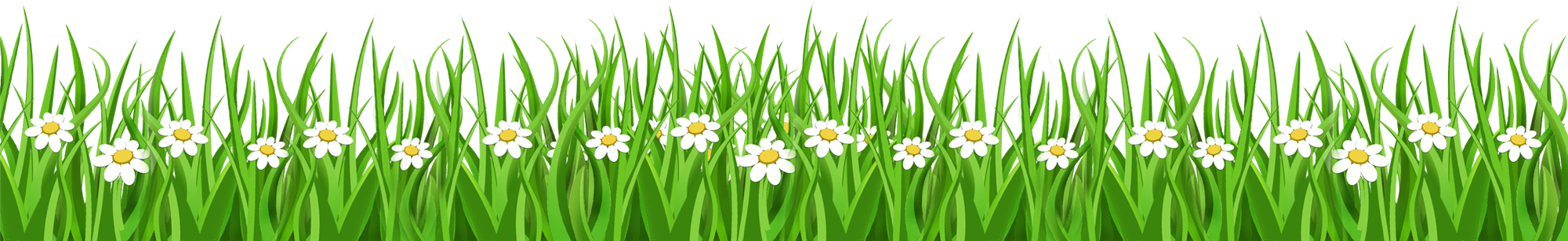 a strip of drawn grass and flowers